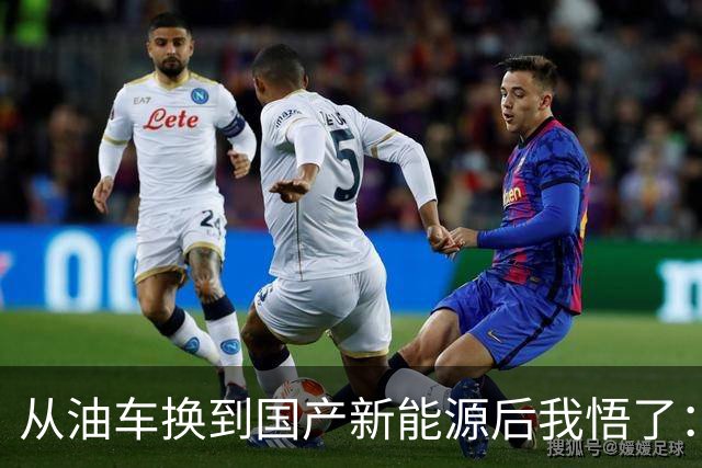 从油车换到国产新能源后我悟了：宁可花多点钱，也要坚持3不买